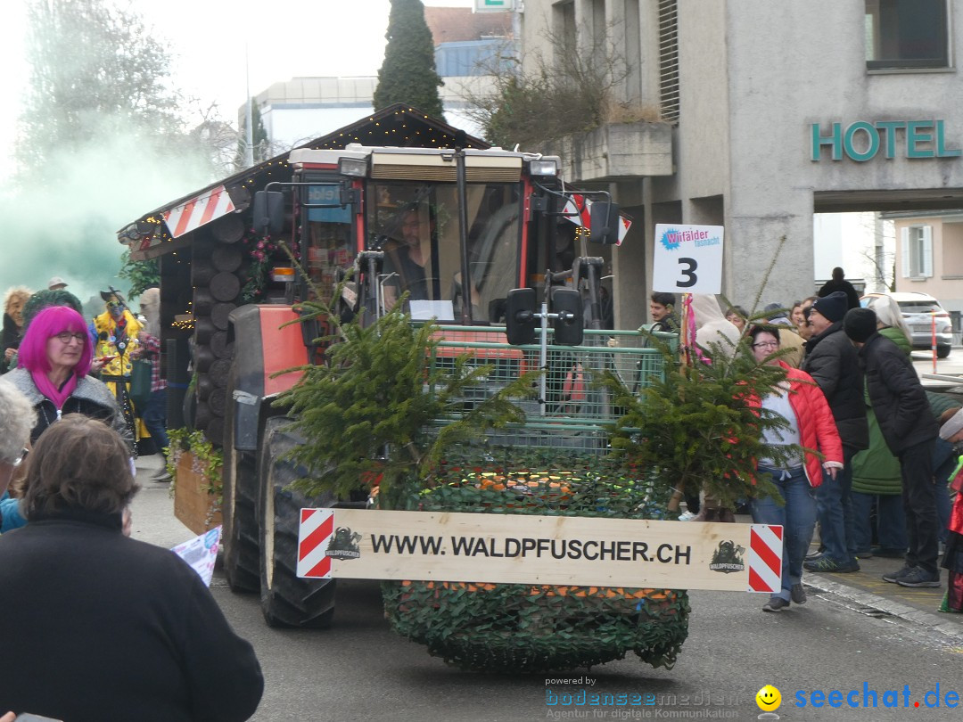 Fasnachtsumzug - Weinfelden - Schweiz, 07.02.2026