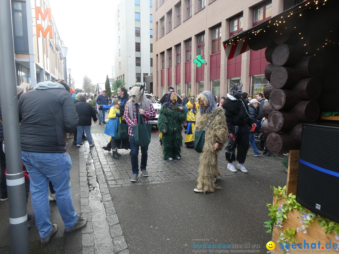 Fasnachtsumzug - Weinfelden - Schweiz, 07.02.2026