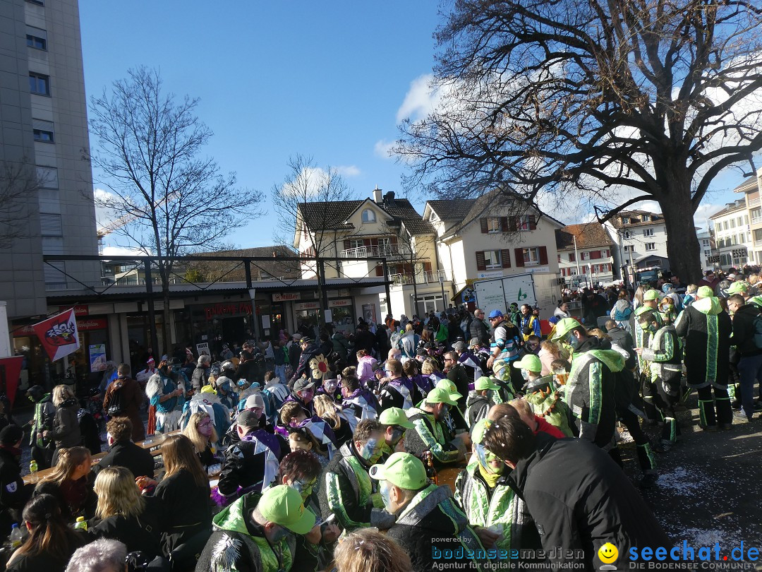 Fasnachtsumzug - Weinfelden - Schweiz, 07.02.2026