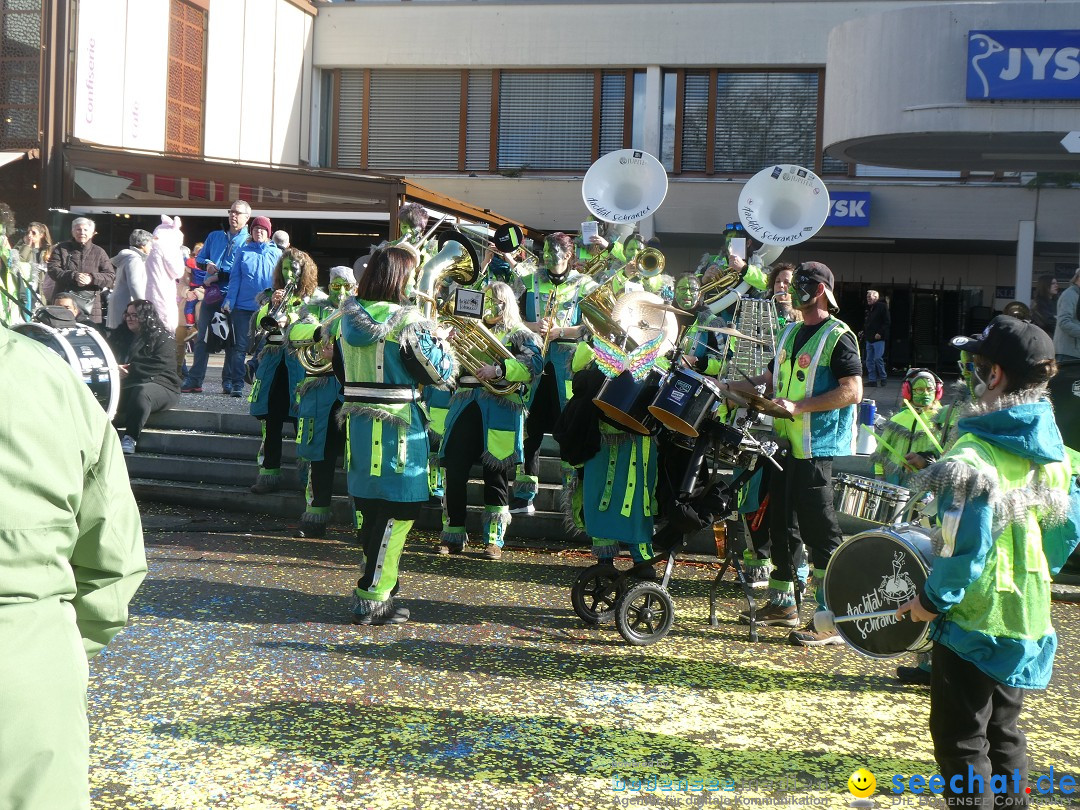Fasnachtsumzug - Weinfelden - Schweiz, 07.02.2026
