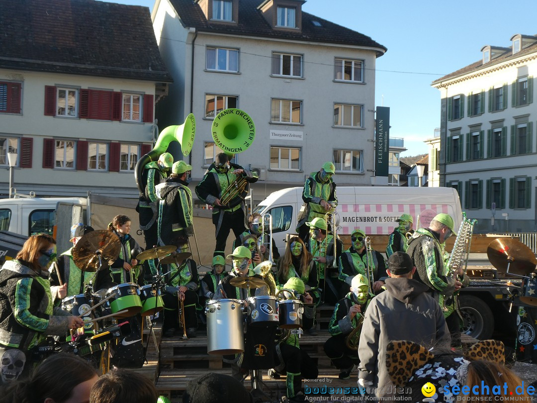Fasnachtsumzug - Weinfelden - Schweiz, 07.02.2026