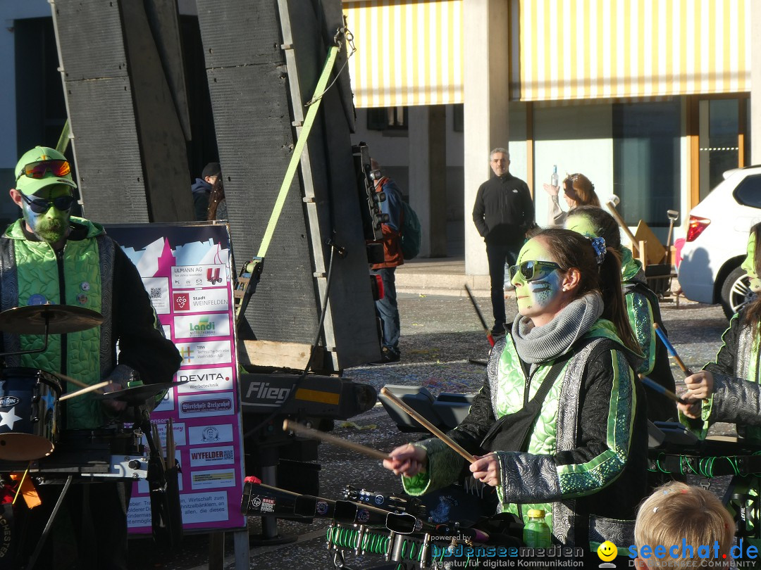 Fasnachtsumzug - Weinfelden - Schweiz, 07.02.2026