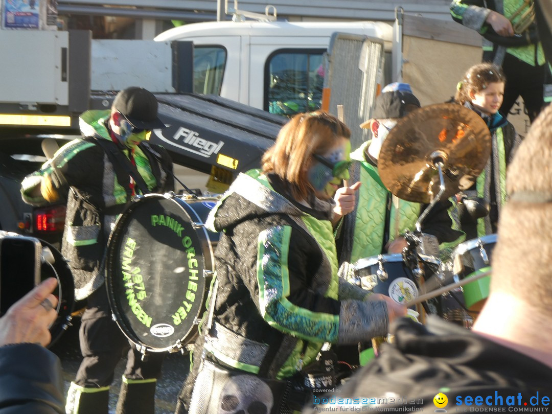 Fasnachtsumzug - Weinfelden - Schweiz, 07.02.2026