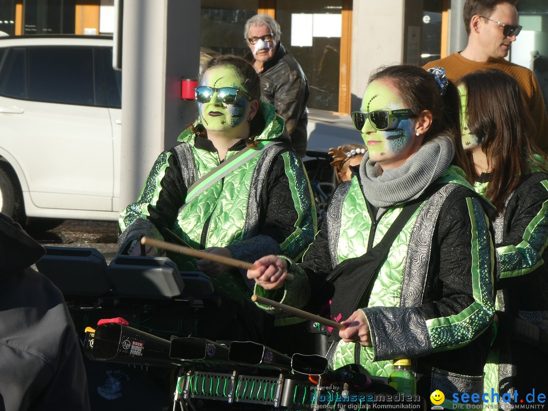 Fasnachtsumzug - Weinfelden - Schweiz, 07.02.2026