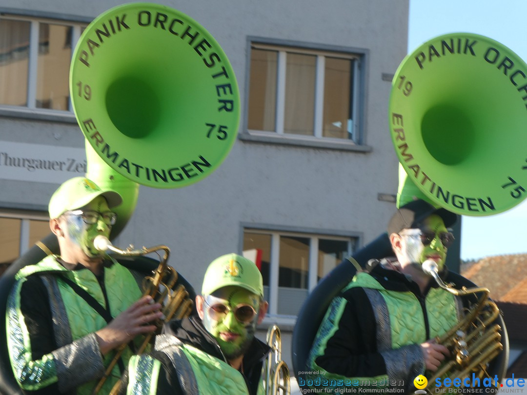 Fasnachtsumzug - Weinfelden - Schweiz, 07.02.2026