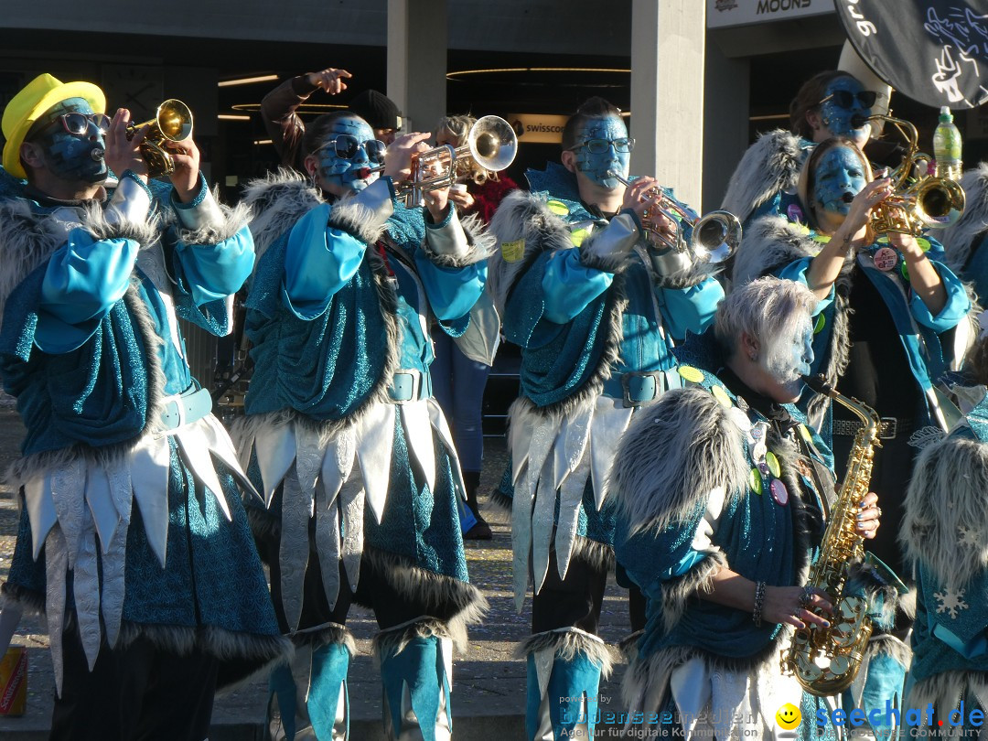 Fasnachtsumzug - Weinfelden - Schweiz, 07.02.2026