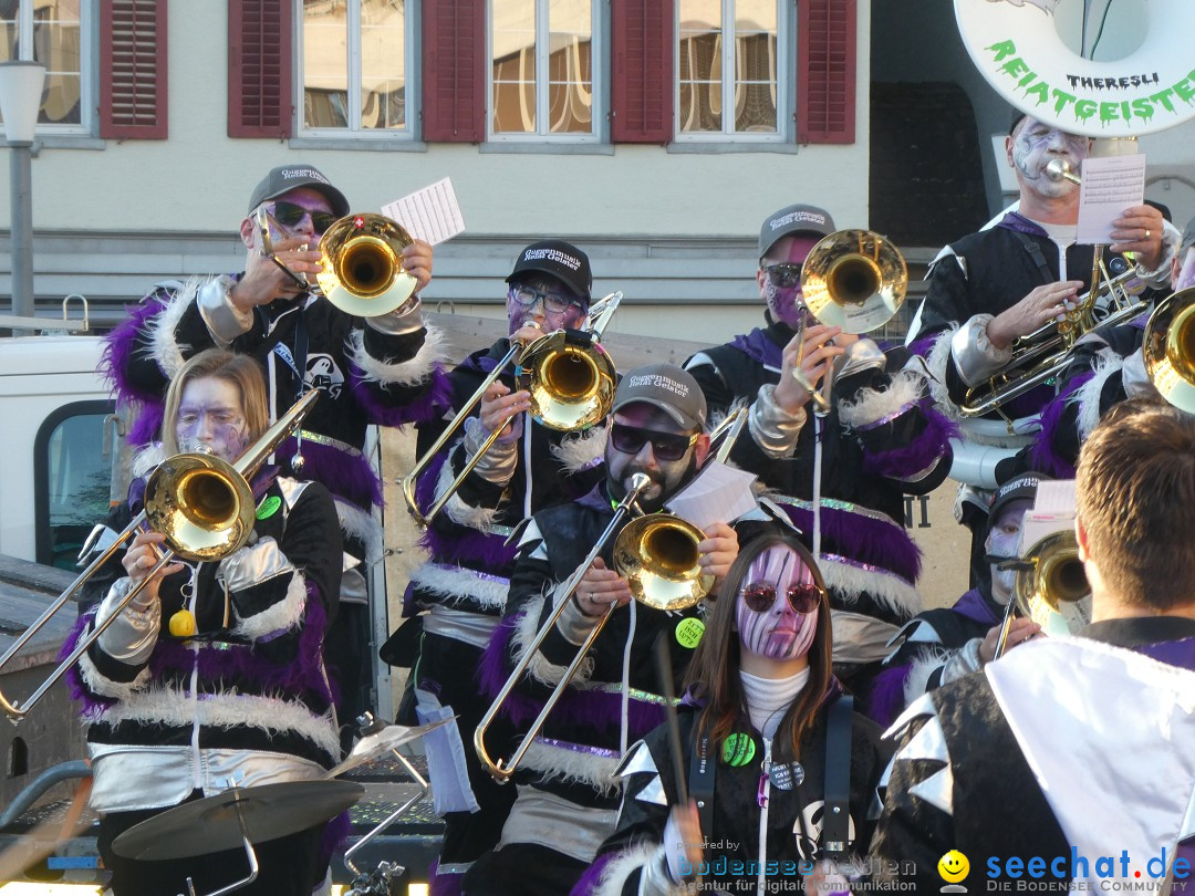 Fasnachtsumzug - Weinfelden - Schweiz, 07.02.2026