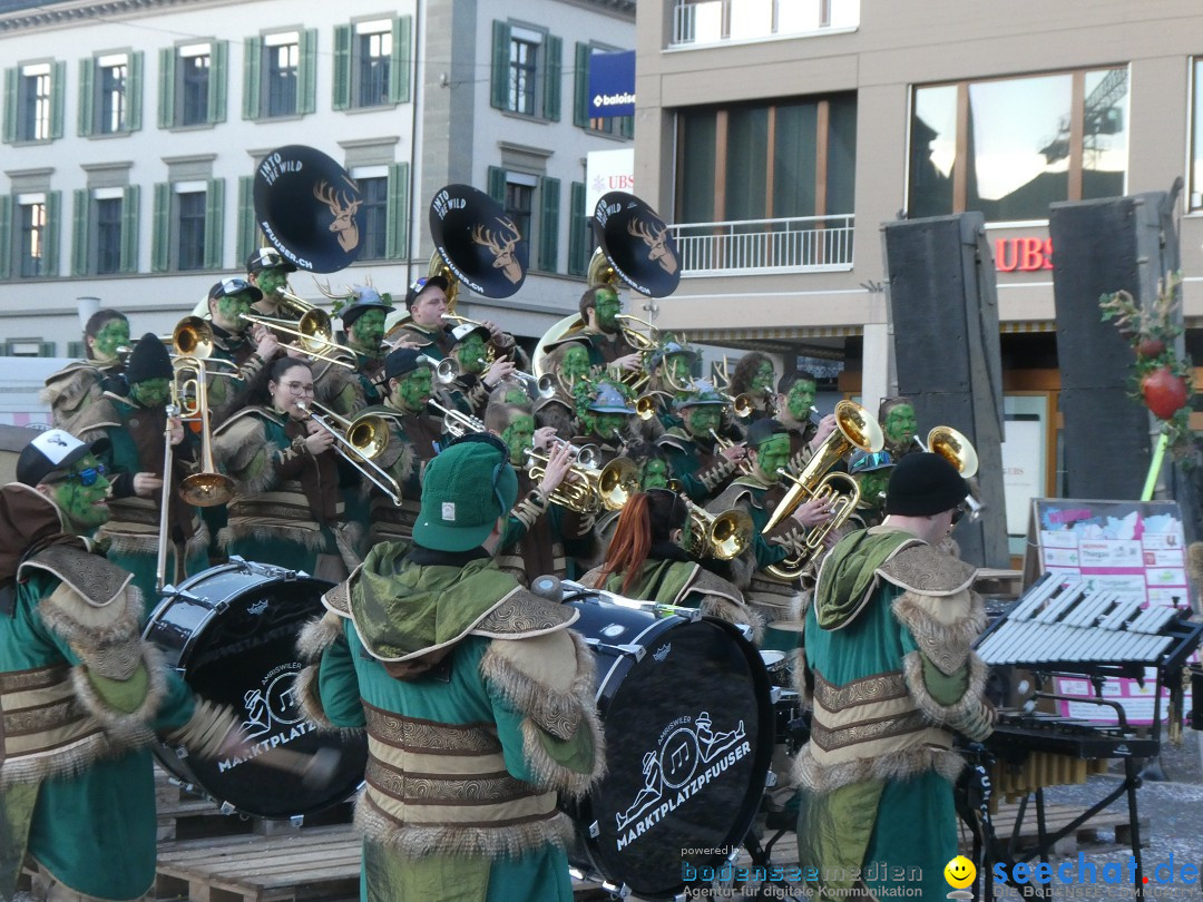 Fasnachtsumzug - Weinfelden - Schweiz, 07.02.2026