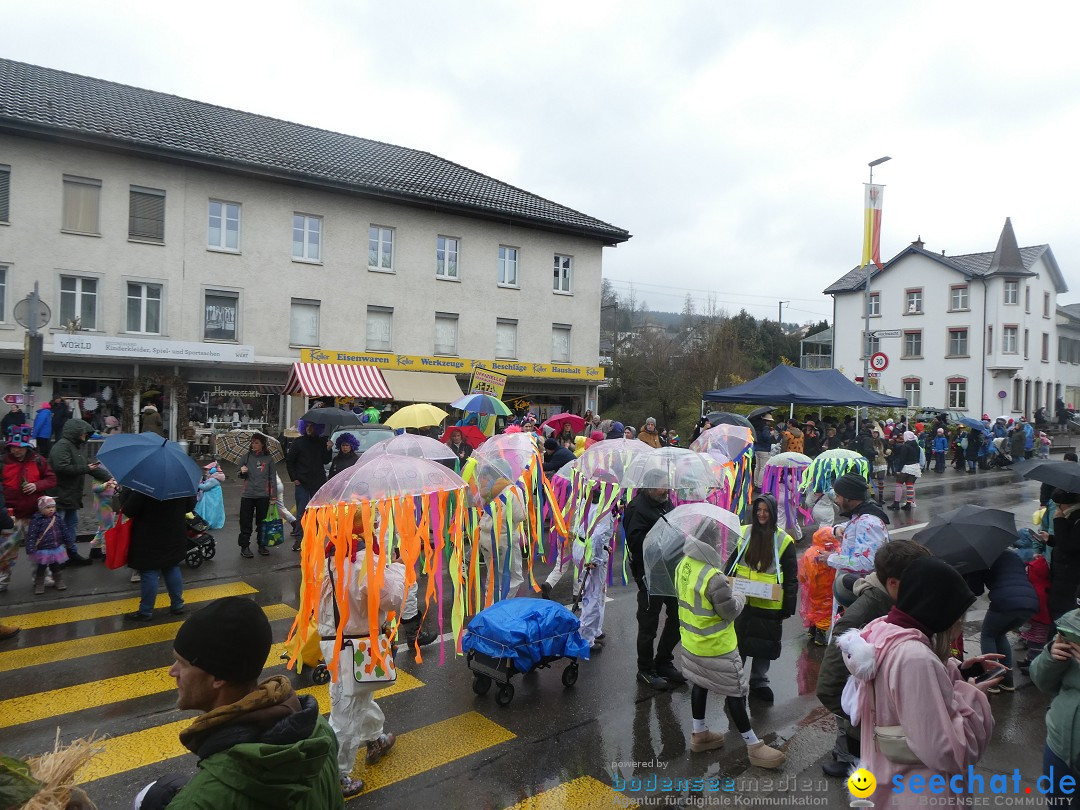 Fasnachtsumzug - Sirnach - Schweiz, 14.02.2026