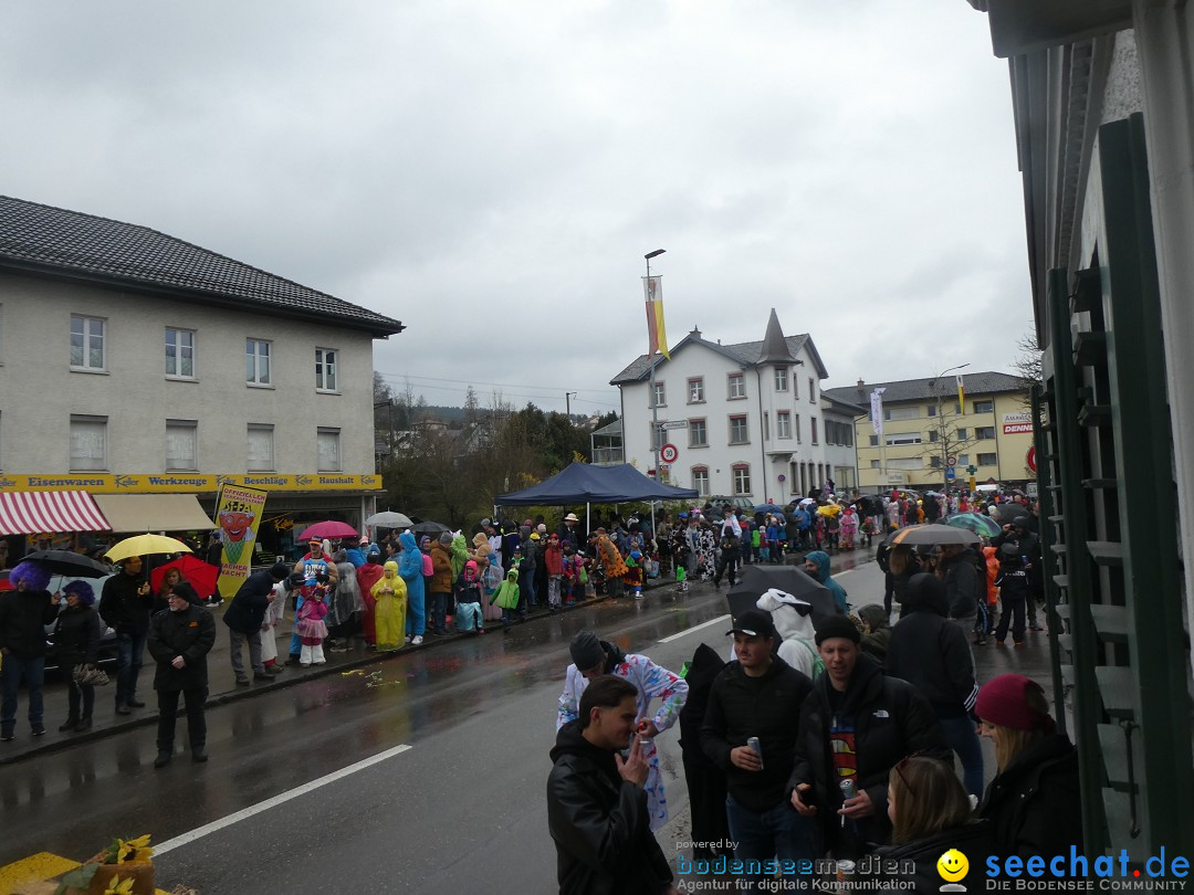 Fasnachtsumzug - Sirnach - Schweiz, 14.02.2026