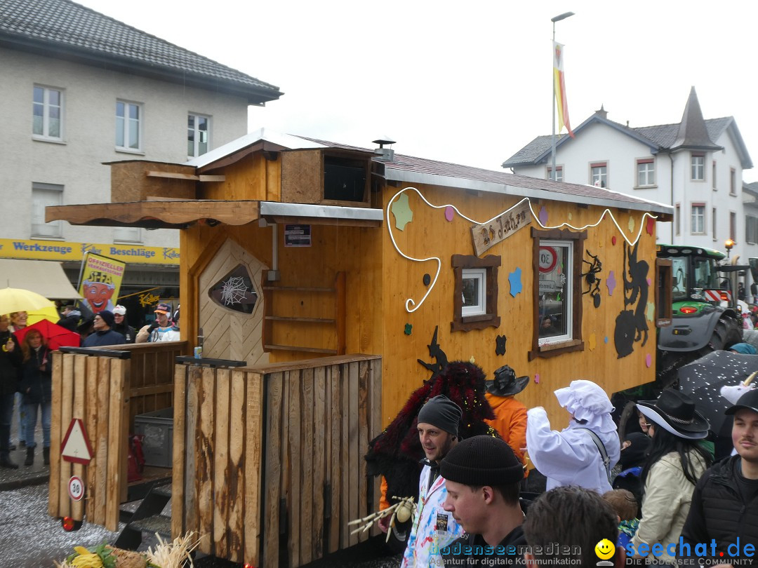 Fasnachtsumzug - Sirnach - Schweiz, 14.02.2026