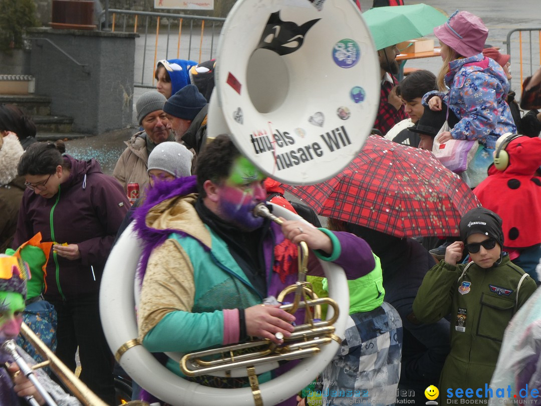 Fasnachtsumzug - Sirnach - Schweiz, 14.02.2026