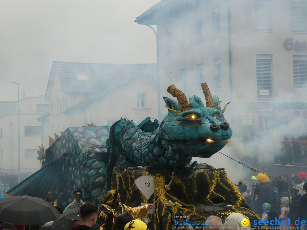 Fasnachtsumzug - Sirnach - Schweiz, 14.02.2026