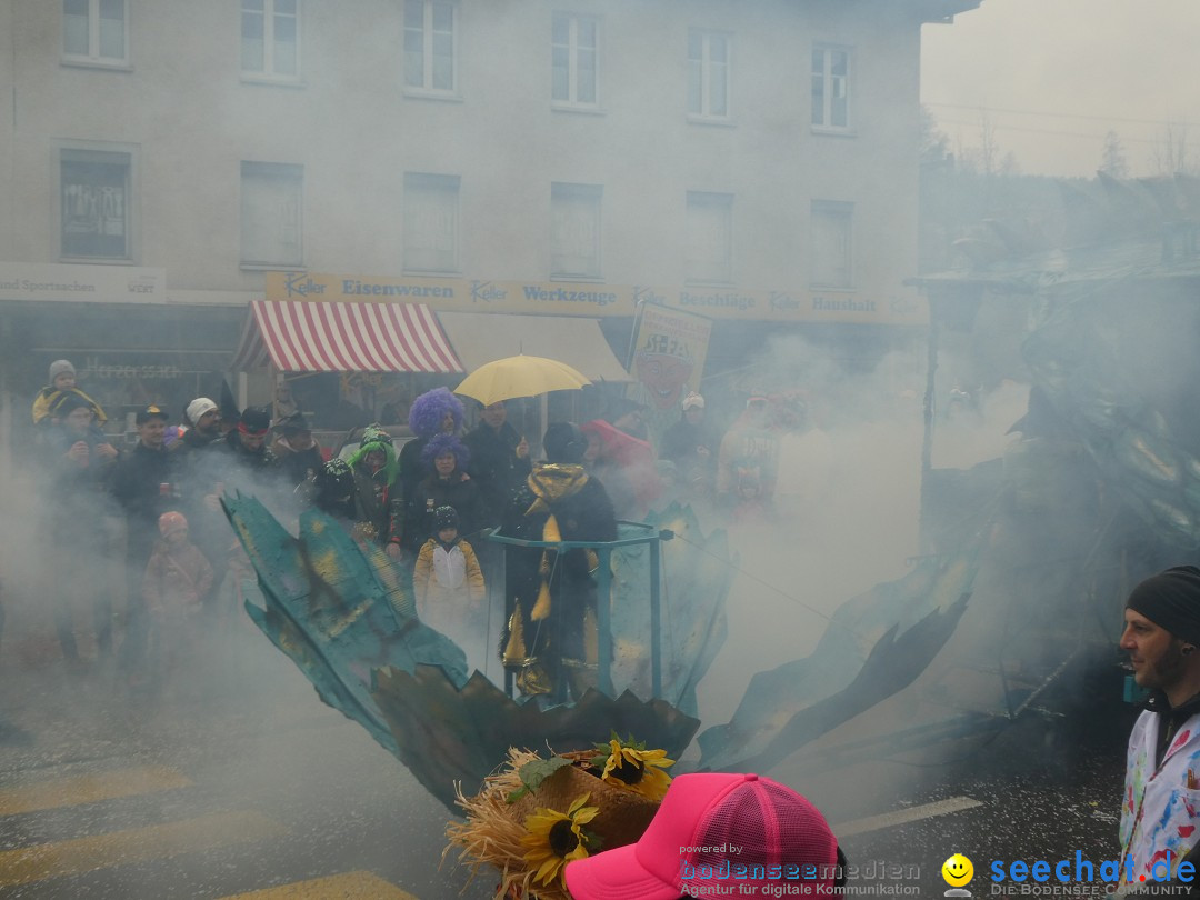Fasnachtsumzug - Sirnach - Schweiz, 14.02.2026