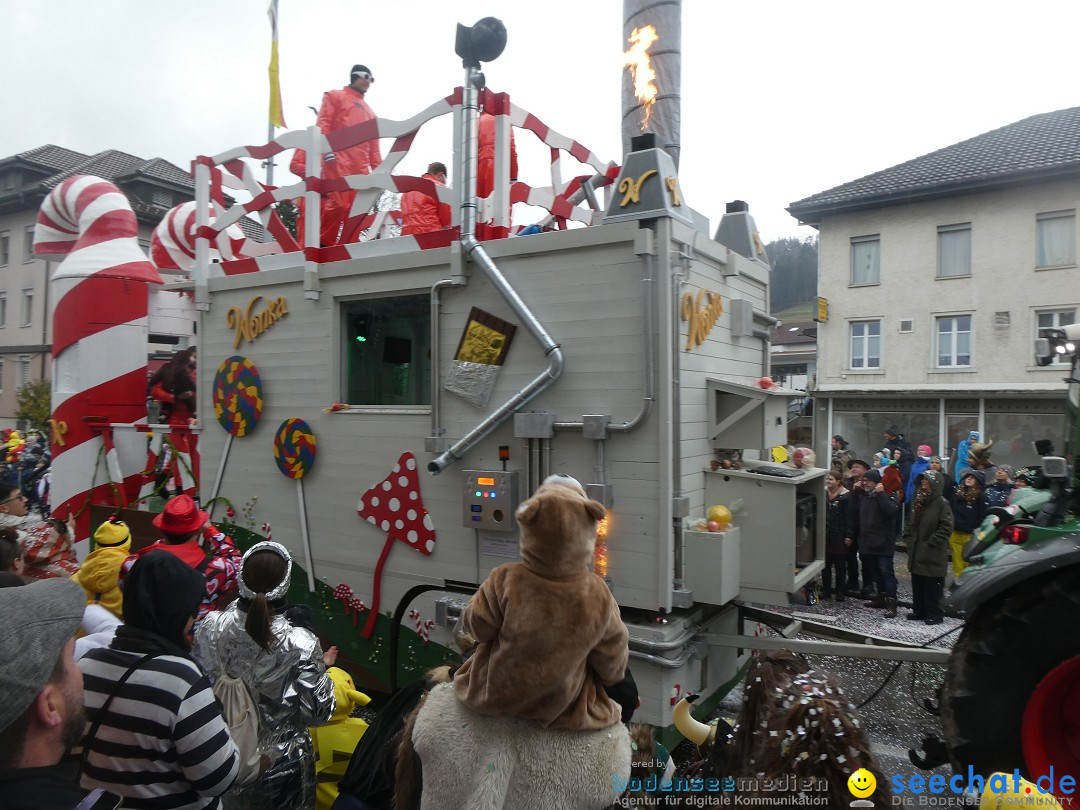 Fasnachtsumzug - Sirnach - Schweiz, 14.02.2026