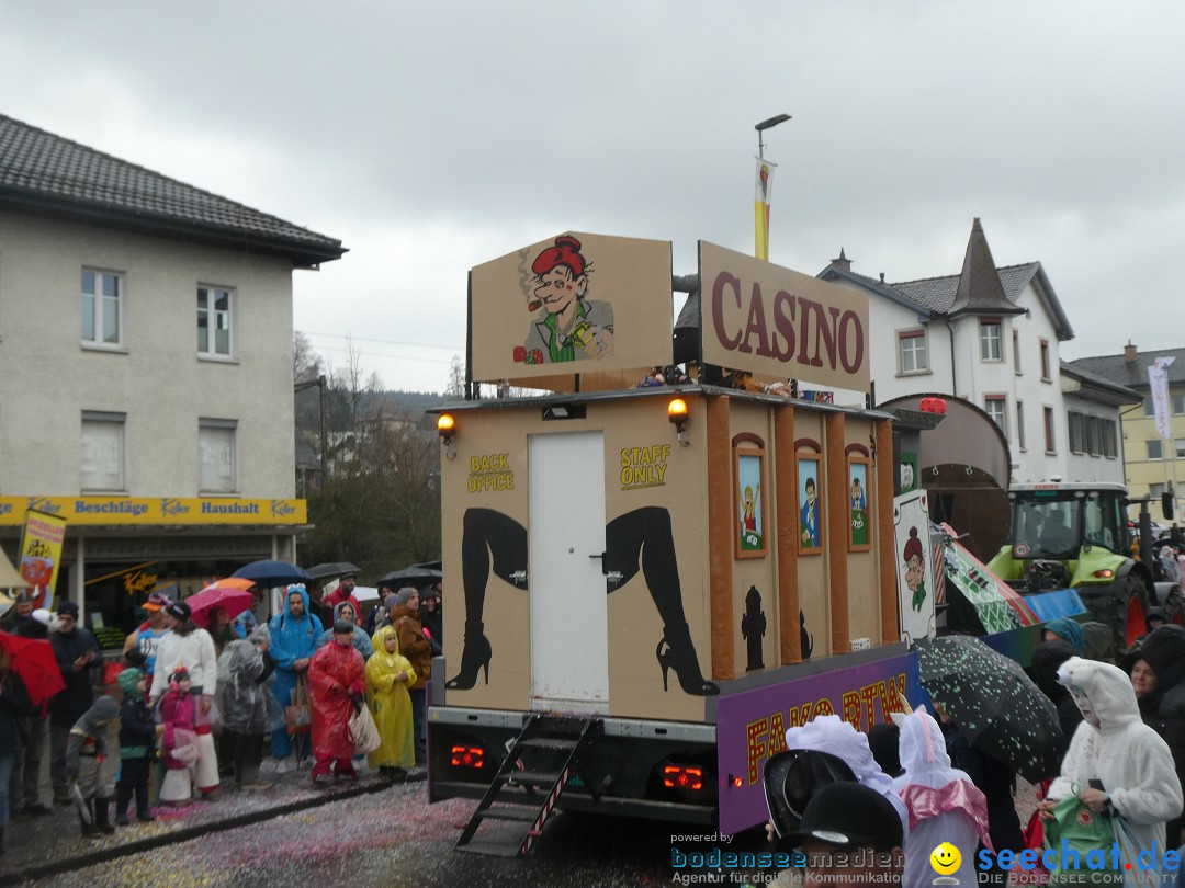 Fasnachtsumzug - Sirnach - Schweiz, 14.02.2026