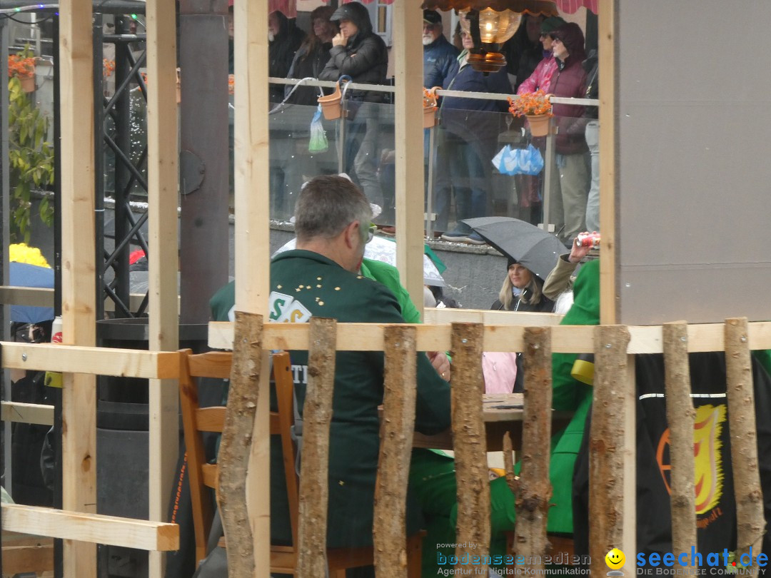 Fasnachtsumzug - Sirnach - Schweiz, 14.02.2026