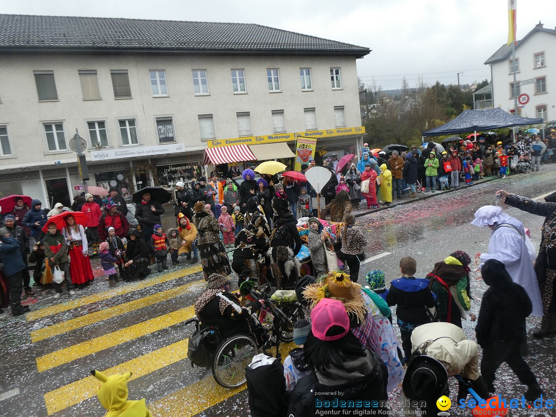 Fasnachtsumzug - Sirnach - Schweiz, 14.02.2026