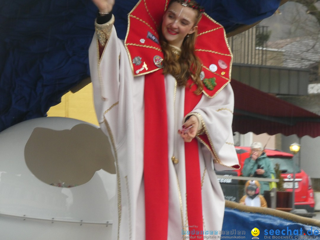 Fasnachtsumzug - Sirnach - Schweiz, 14.02.2026