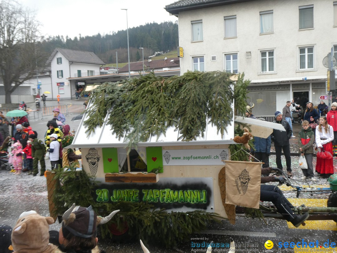 Fasnachtsumzug - Sirnach - Schweiz, 14.02.2026