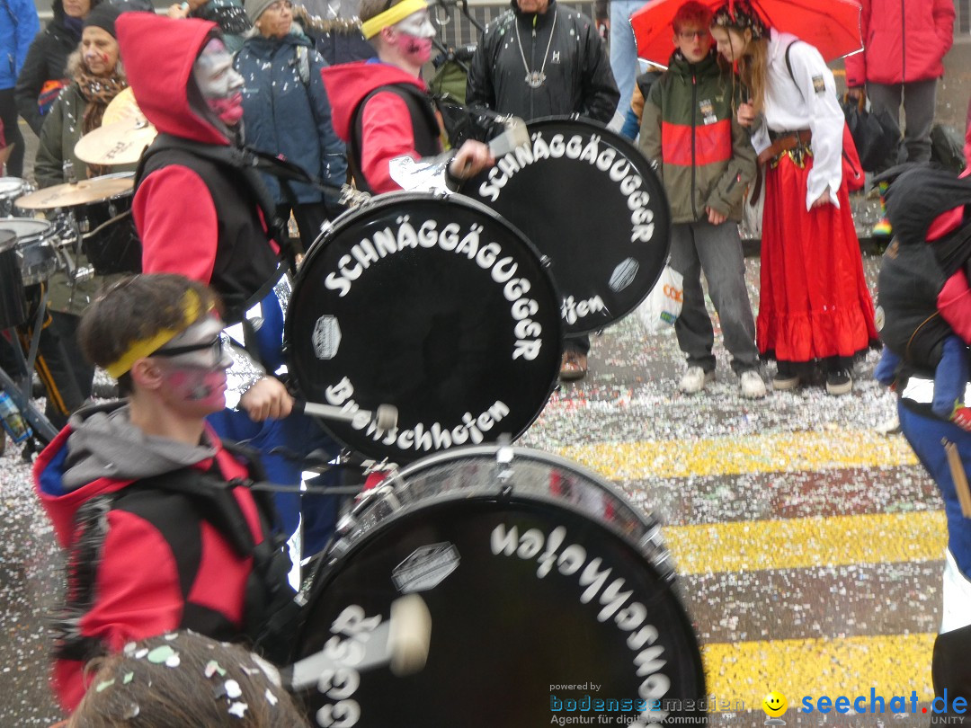 Fasnachtsumzug - Sirnach - Schweiz, 14.02.2026