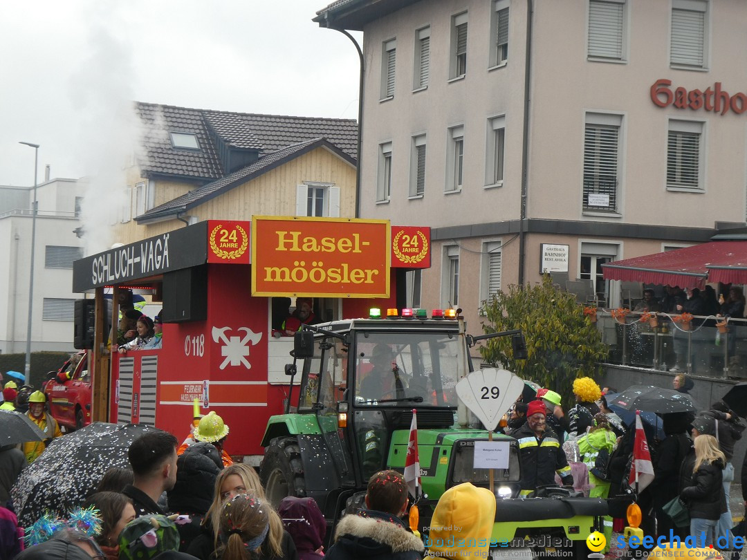 Fasnachtsumzug - Sirnach - Schweiz, 14.02.2026