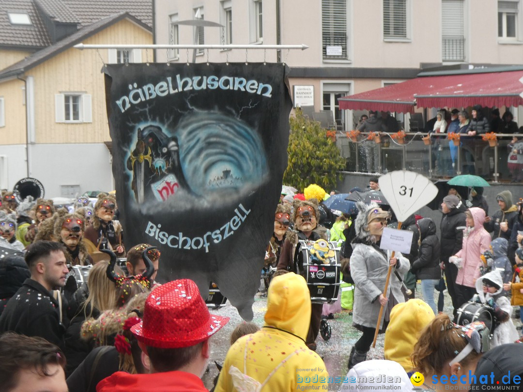 Fasnachtsumzug - Sirnach - Schweiz, 14.02.2026