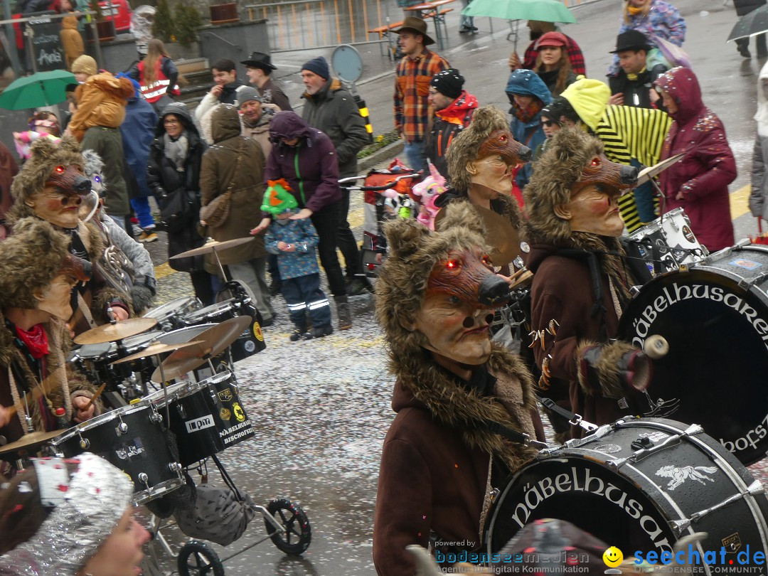 Fasnachtsumzug - Sirnach - Schweiz, 14.02.2026