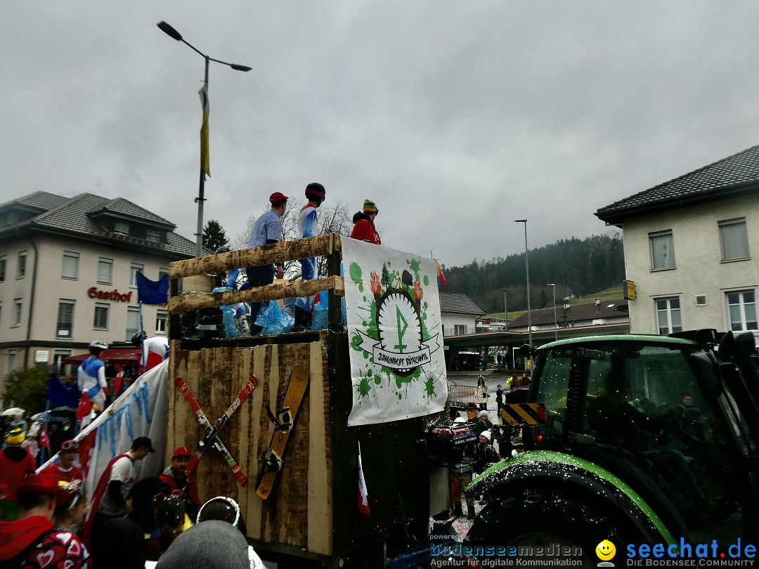 Fasnachtsumzug - Sirnach - Schweiz, 14.02.2026