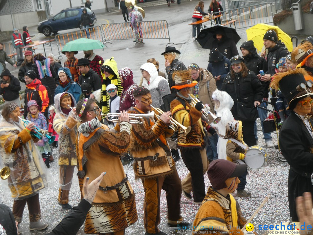 Fasnachtsumzug - Sirnach - Schweiz, 14.02.2026