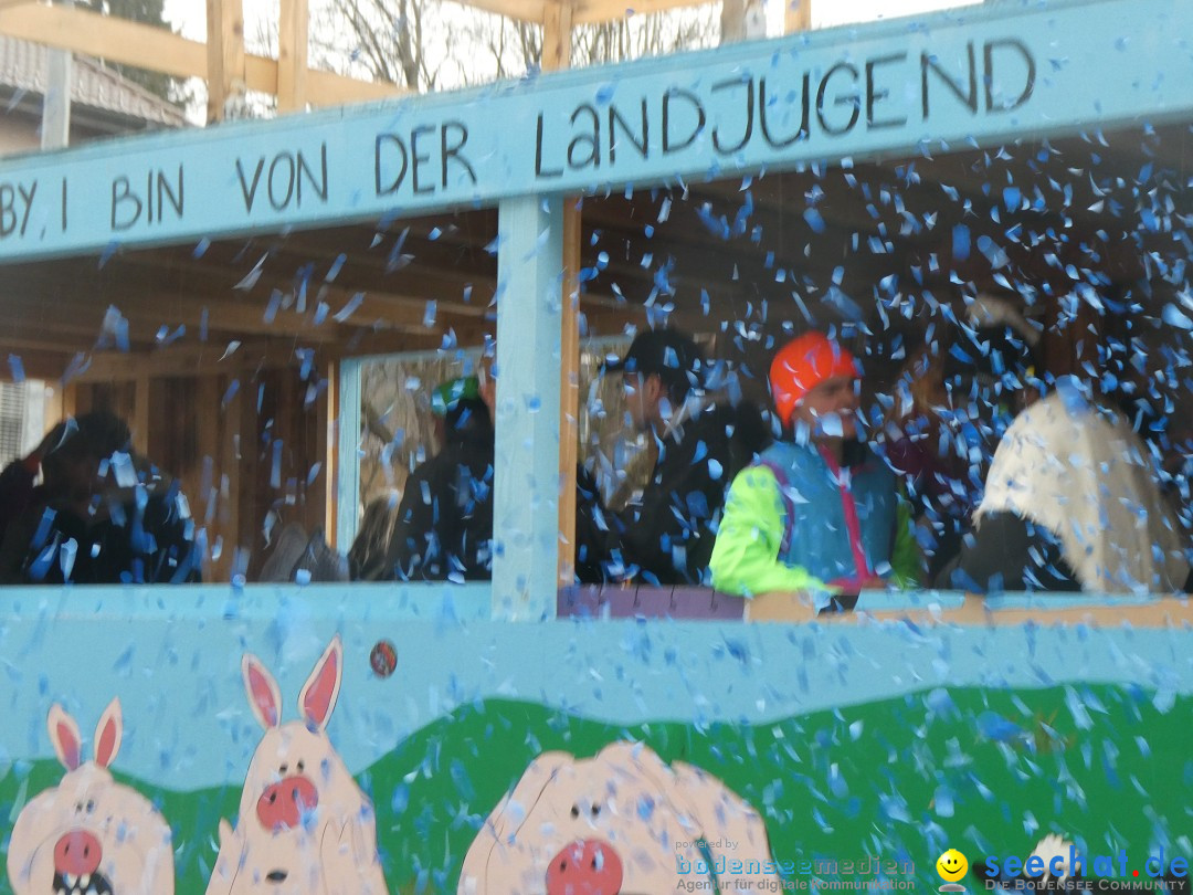 Fasnachtsumzug - Sirnach - Schweiz, 14.02.2026