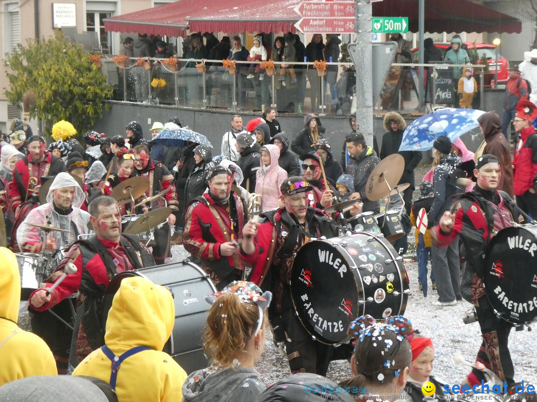 Fasnachtsumzug - Sirnach - Schweiz, 14.02.2026
