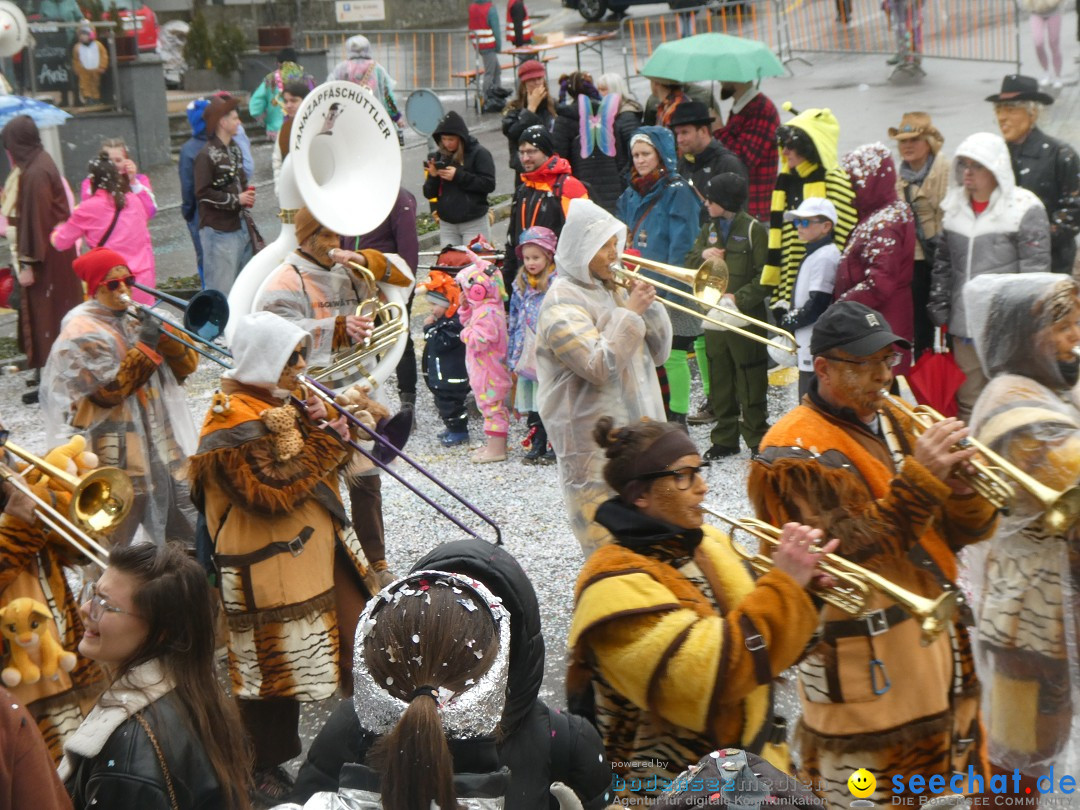 Fasnachtsumzug - Sirnach - Schweiz, 14.02.2026