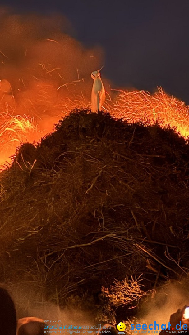 Funken - Funkenfeuer: Weingarten, 22.02.2026