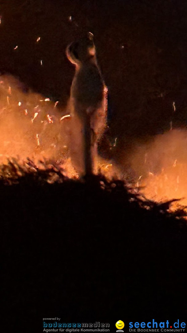 Funken - Funkenfeuer: Weingarten, 22.02.2026