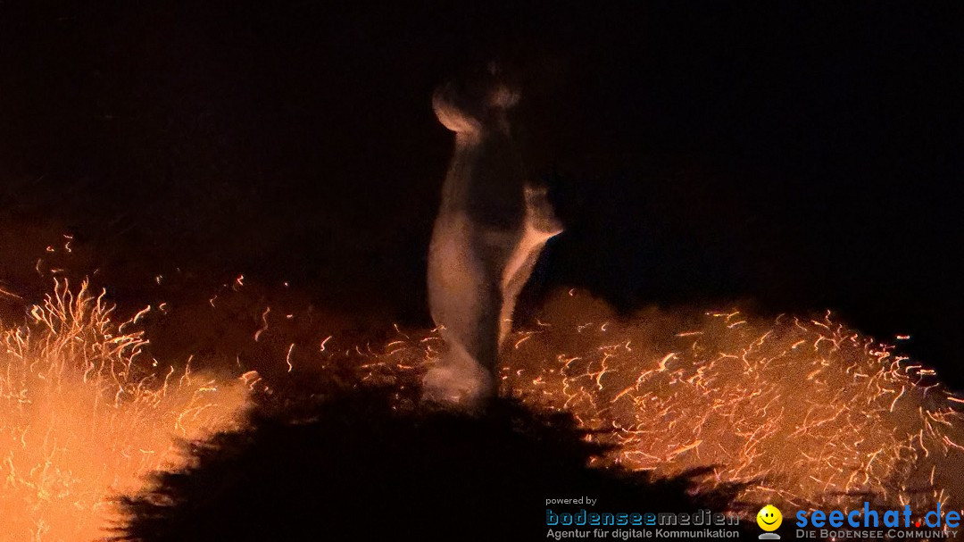 Funken - Funkenfeuer: Weingarten, 22.02.2026