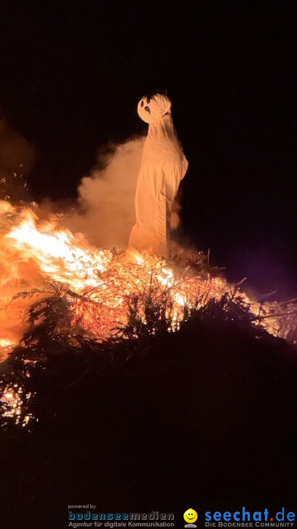 Funken - Funkenfeuer: Weingarten, 22.02.2026