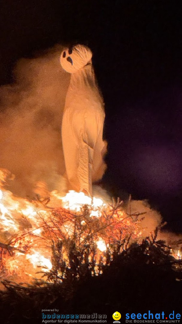 Funken - Funkenfeuer: Weingarten, 22.02.2026