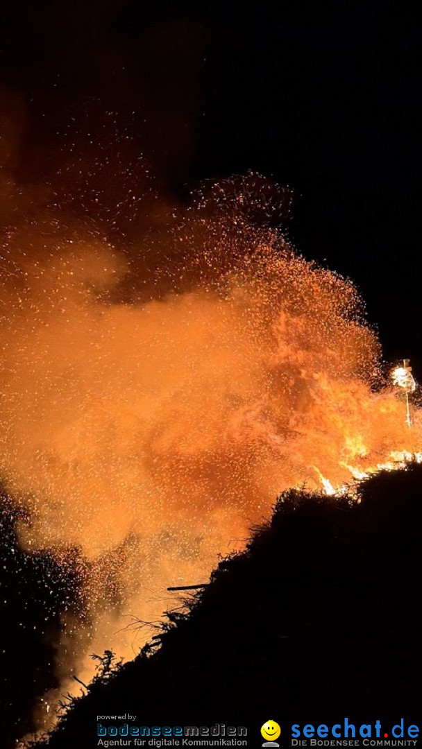 Funken - Funkenfeuer: Weingarten, 22.02.2026