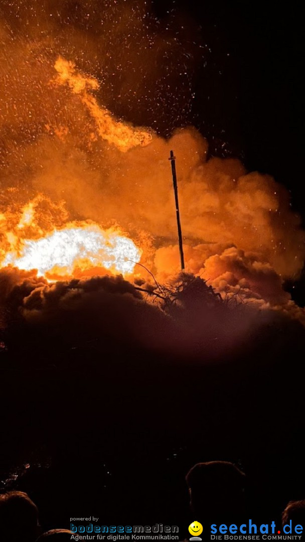 Funken - Funkenfeuer: Weingarten, 22.02.2026