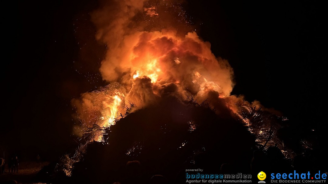 Funken - Funkenfeuer: Weingarten, 22.02.2026