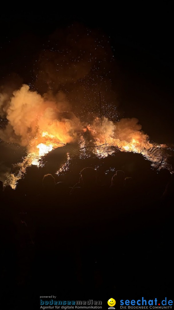 Funken - Funkenfeuer: Weingarten, 22.02.2026