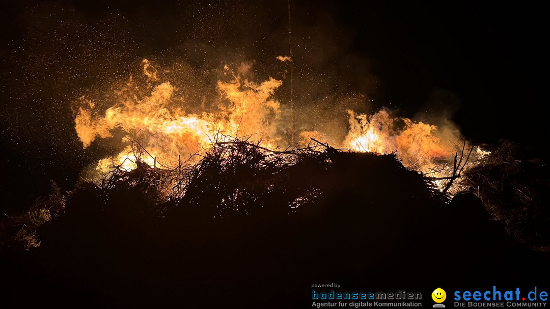 Funken - Funkenfeuer: Weingarten, 22.02.2026