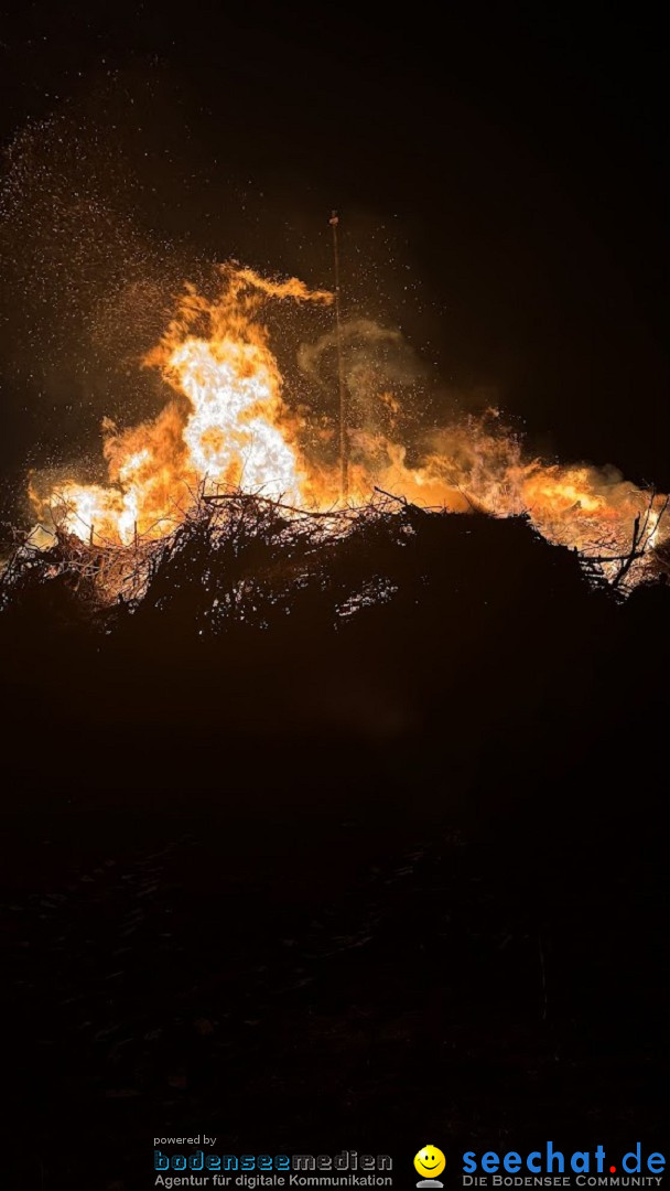 Funken - Funkenfeuer: Weingarten, 22.02.2026