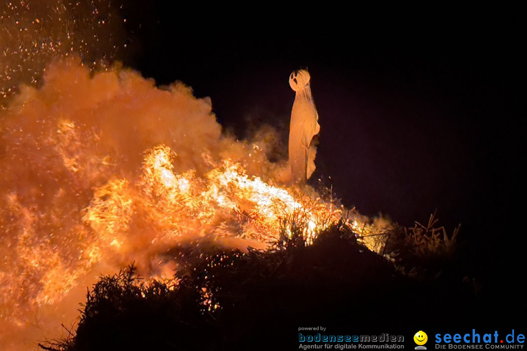 Funken - Funkenfeuer: Weingarten, 22.02.2026