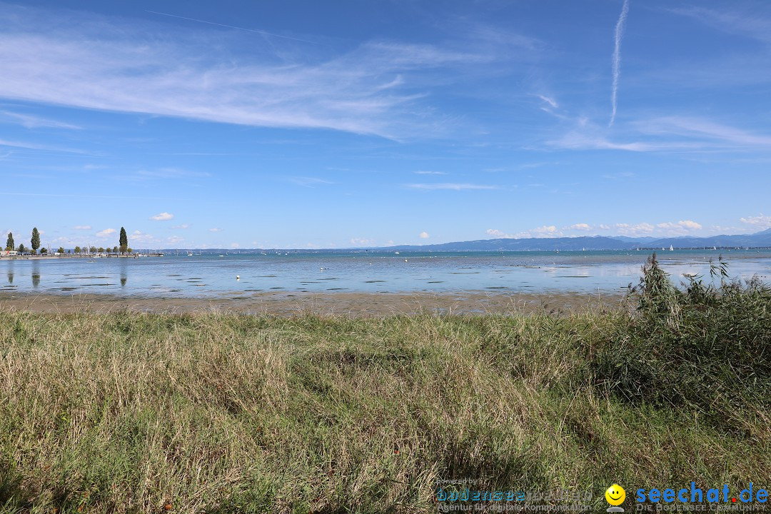 SummerDays Festival 2026: Arbon am Bodensee, 29.08.2026