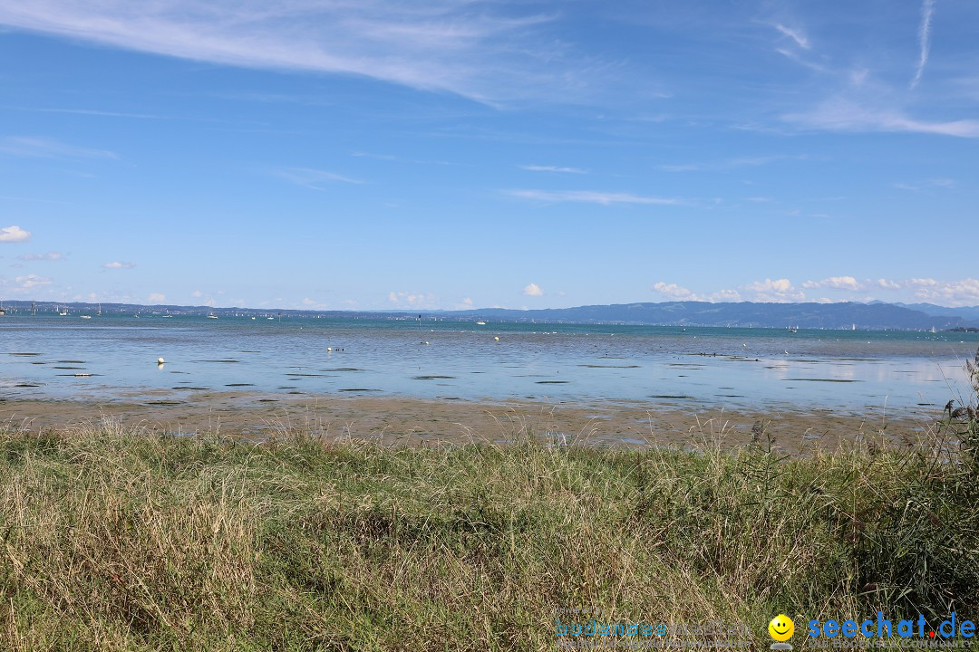 SummerDays Festival 2026: Arbon am Bodensee, 29.08.2026