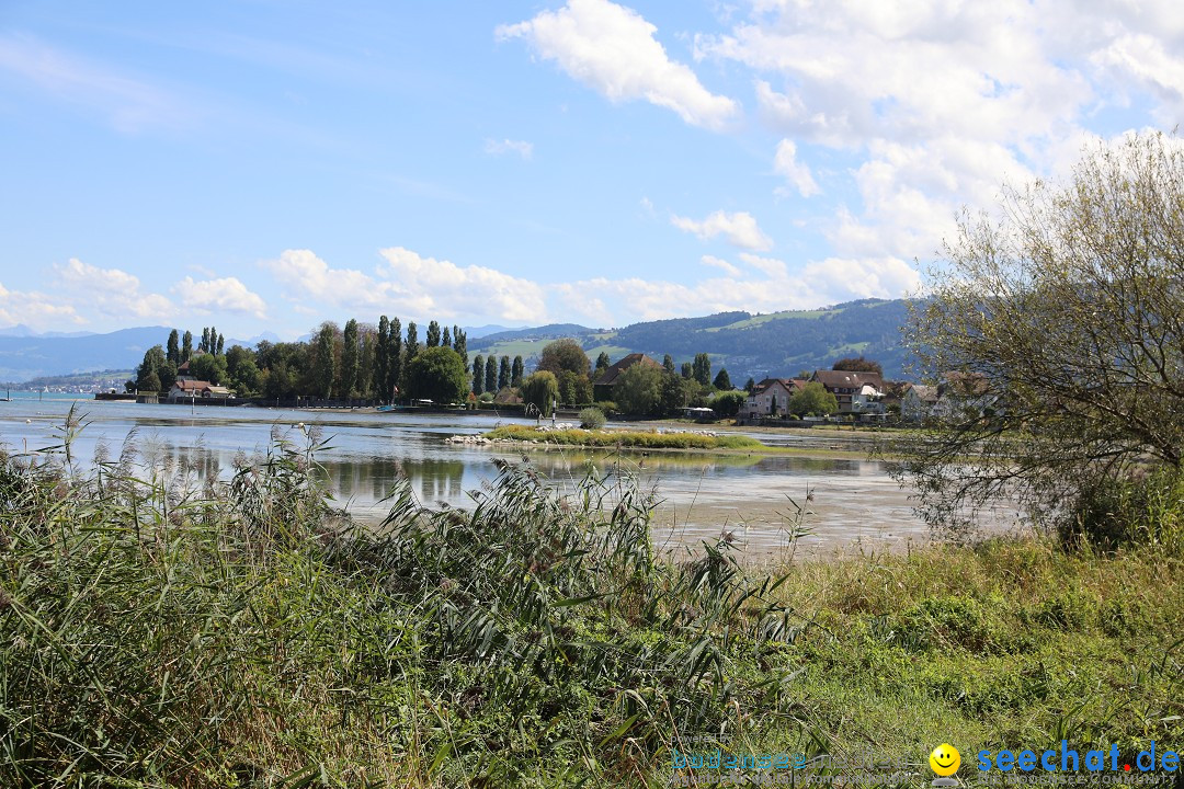 SummerDays Festival 2026: Arbon am Bodensee, 29.08.2026