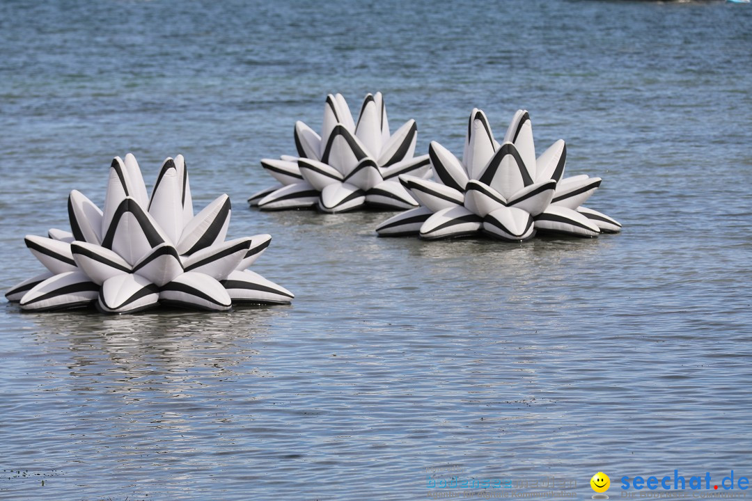 SummerDays Festival 2026: Arbon am Bodensee, 29.08.2026