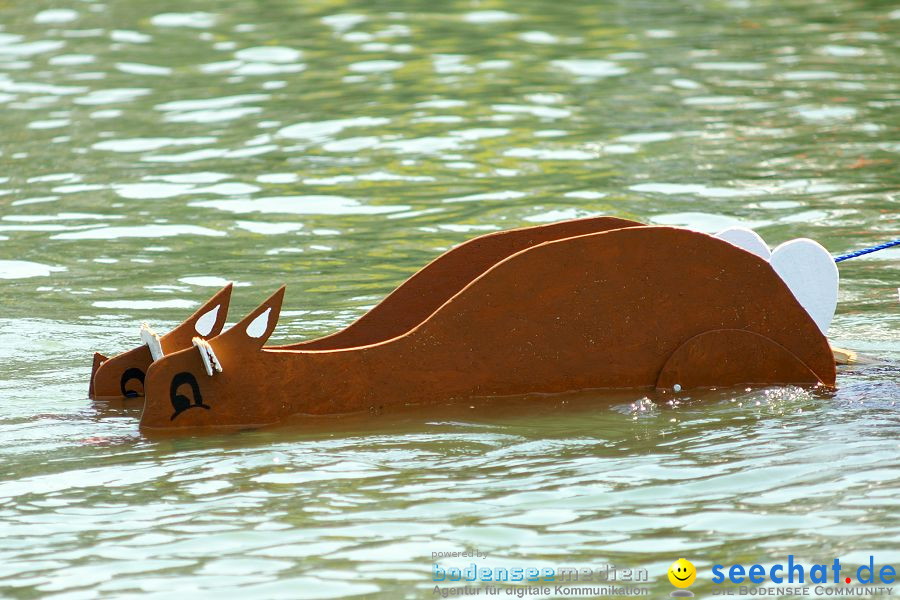 4. Internationales Seehafenfliegen 2010: Lindau am Bodensee, 26.06.2010